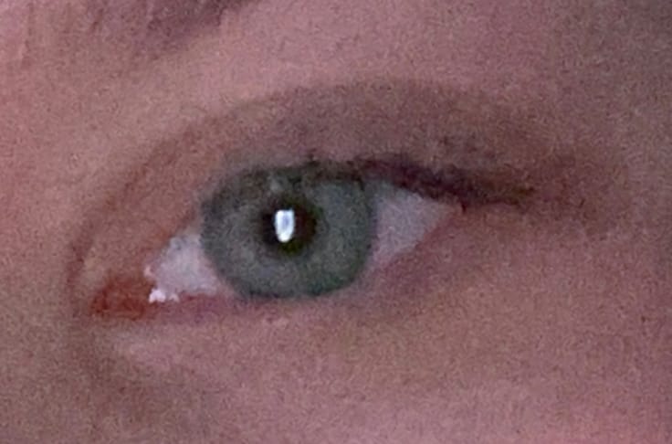 Customer photo review of Eyeling Dark Brown