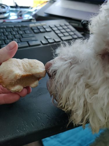 Customer photo review of Himalayan Yak Puffs