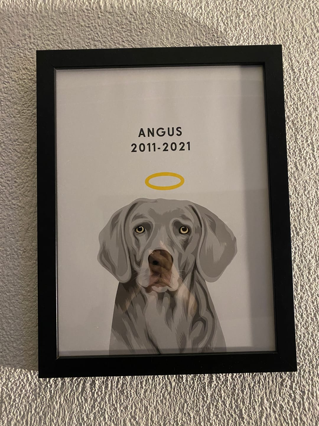 Customer photo review of Custom Memorial Pet Portrait w/ Halo