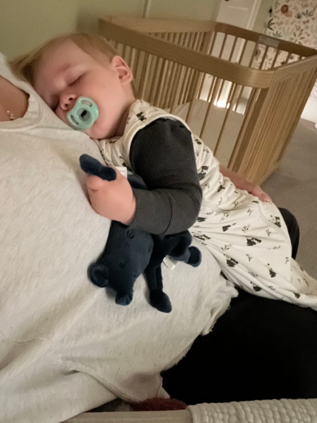 Customer photo review of Bella Tunno x Taking Cara Babies Lovey Hippo