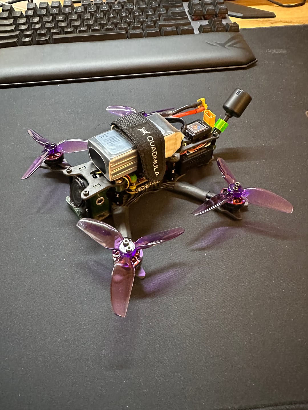 Customer photo review of Siren F3 Split