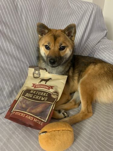 Customer photo review of Bully Bunches Puppy Pack