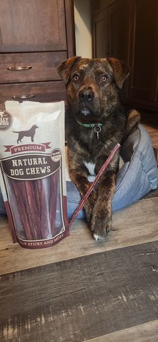 Customer photo review of 12 Inch Beef Jerky Stick