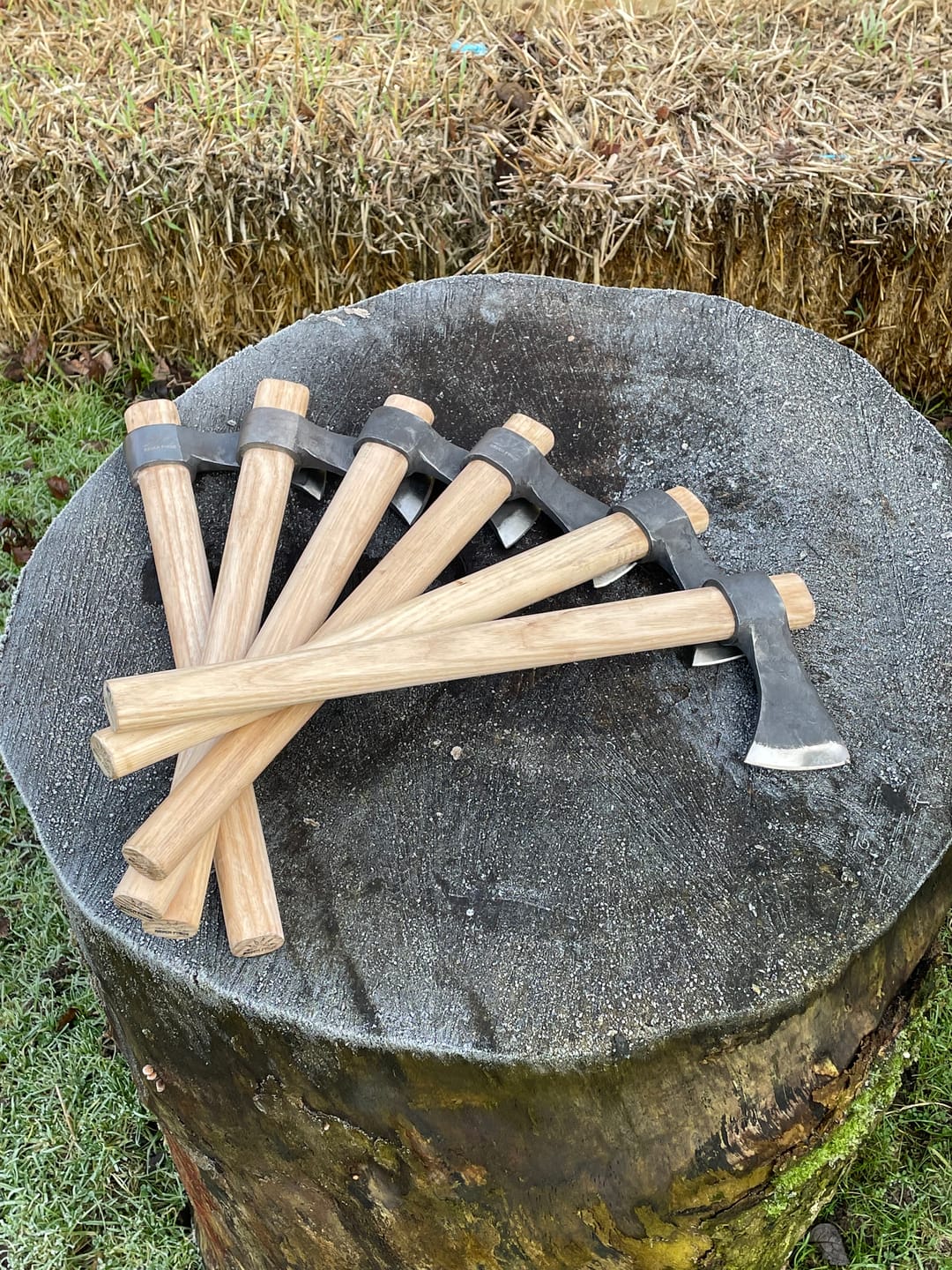 Customer photo review of Hawk Thrower - Raven Forge