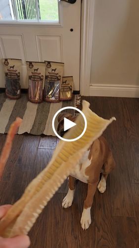 Customer photo review of 12 Inch Beef Trachea