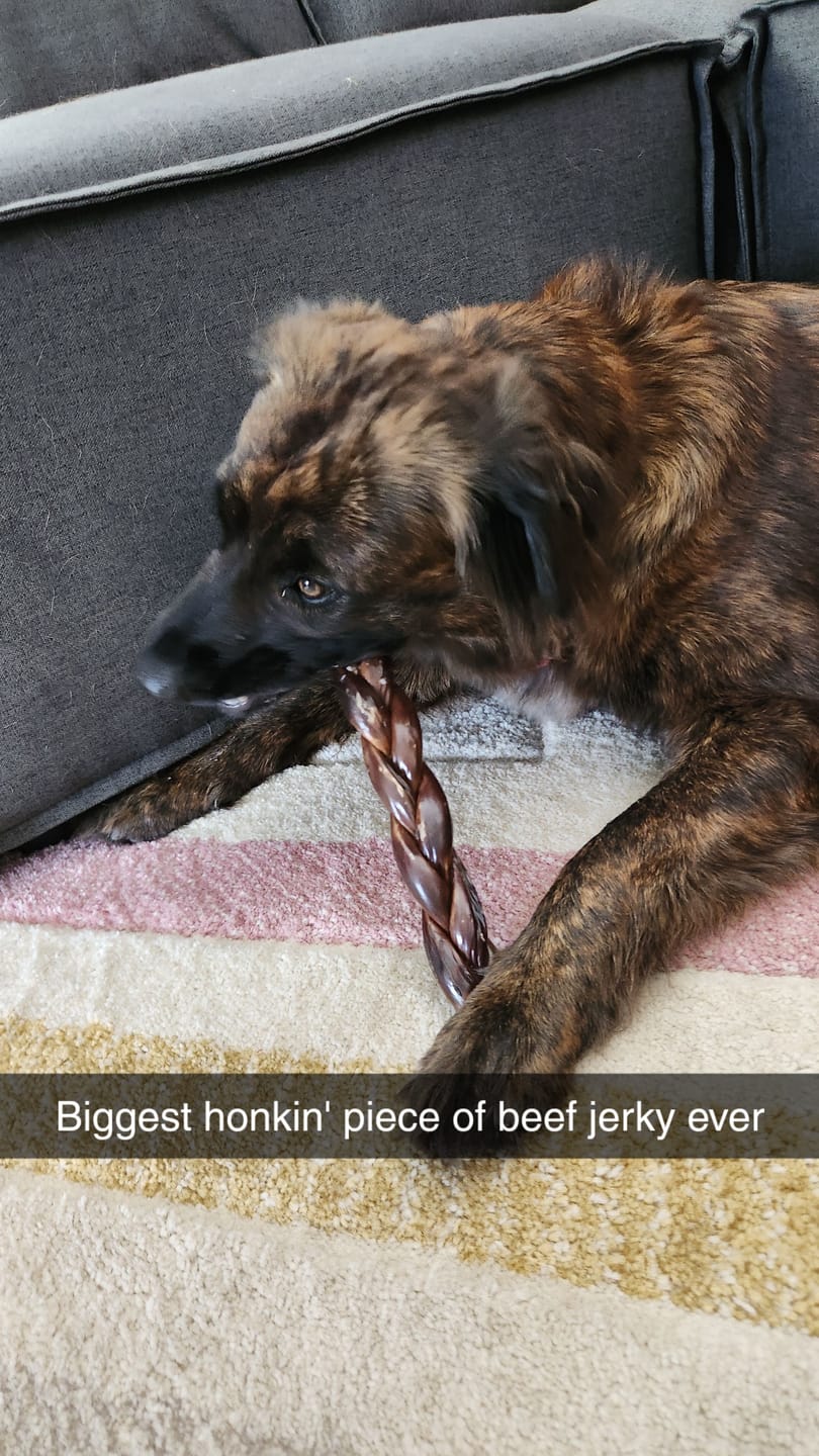 Customer photo review of 12 Inch Braided Jerky Stick