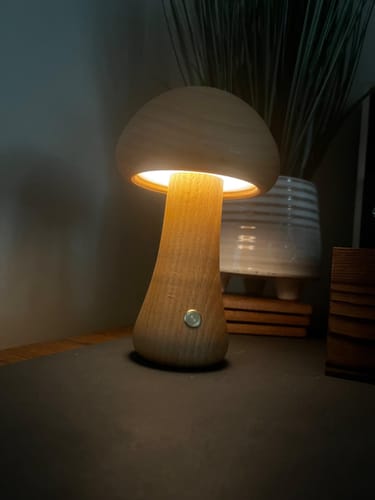 Customer photo review of Wooden Mushroom Lamps
