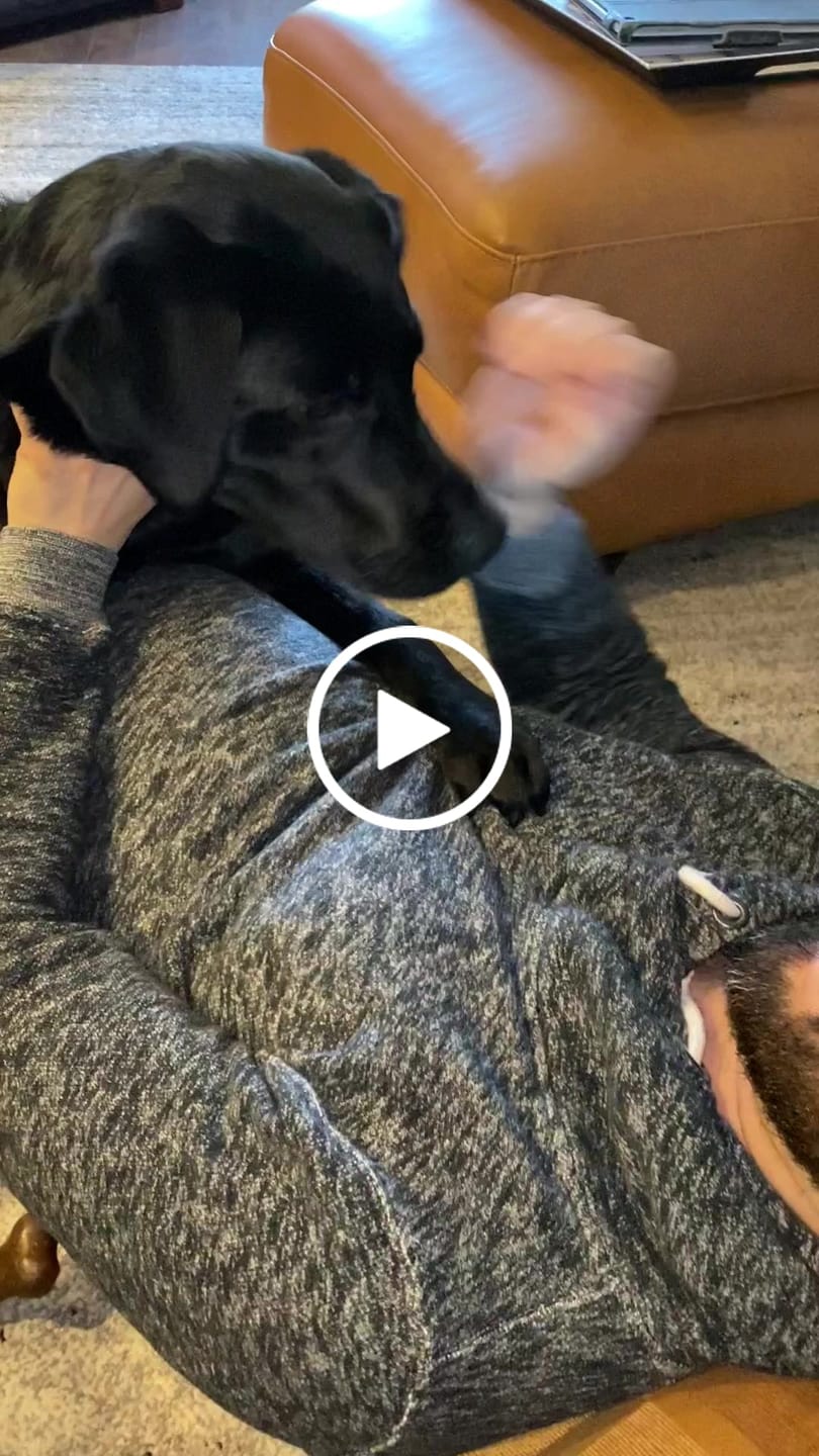 Customer video review of Banana Chips