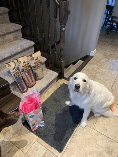 Customer photo review of 12 Inch Braided Jerky Stick