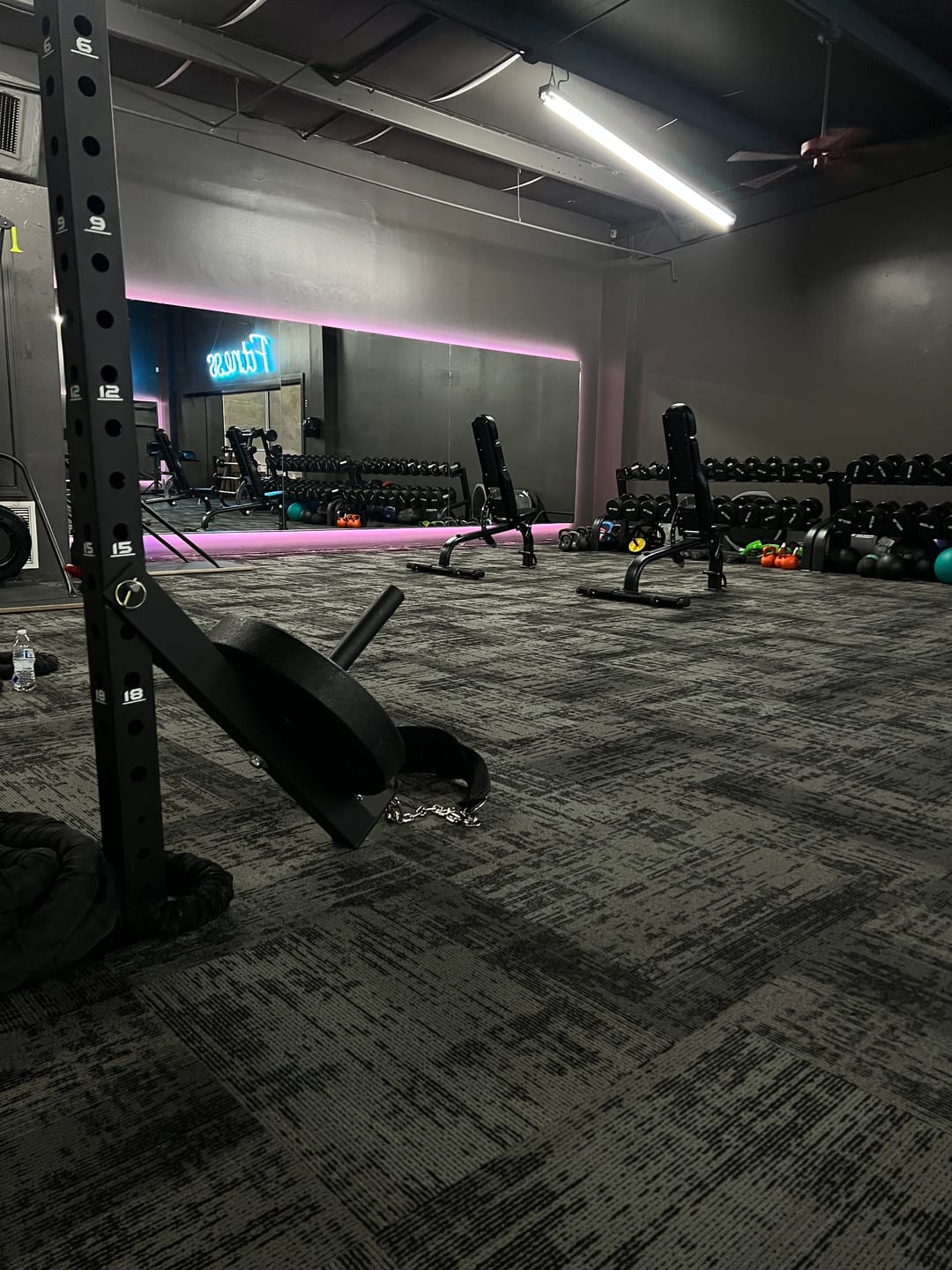 Customer photo review of Revolt Belt Squat