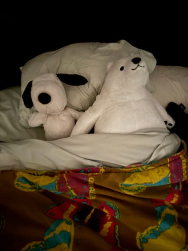 Customer photo review of Small Skoggy Bundle