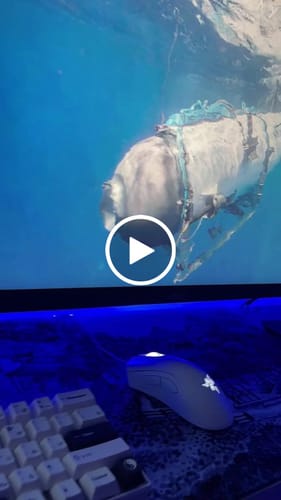 Customer video review of Whiling Away | Mousepad