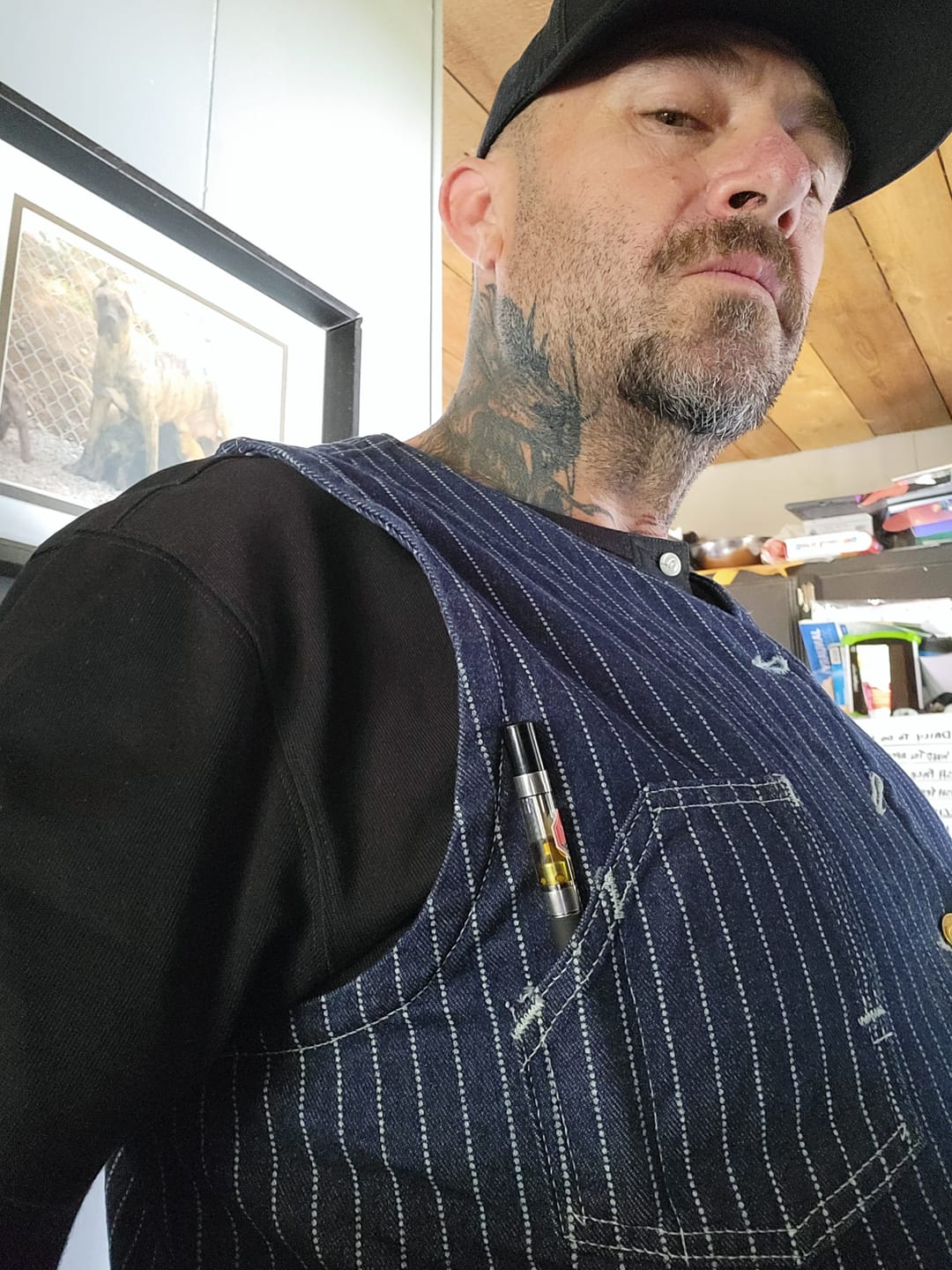 Customer photo review of 1930s Wabash Railway Work Vest