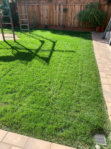 Customer photo review of GCI Turf Spreader Elite Grass Seed