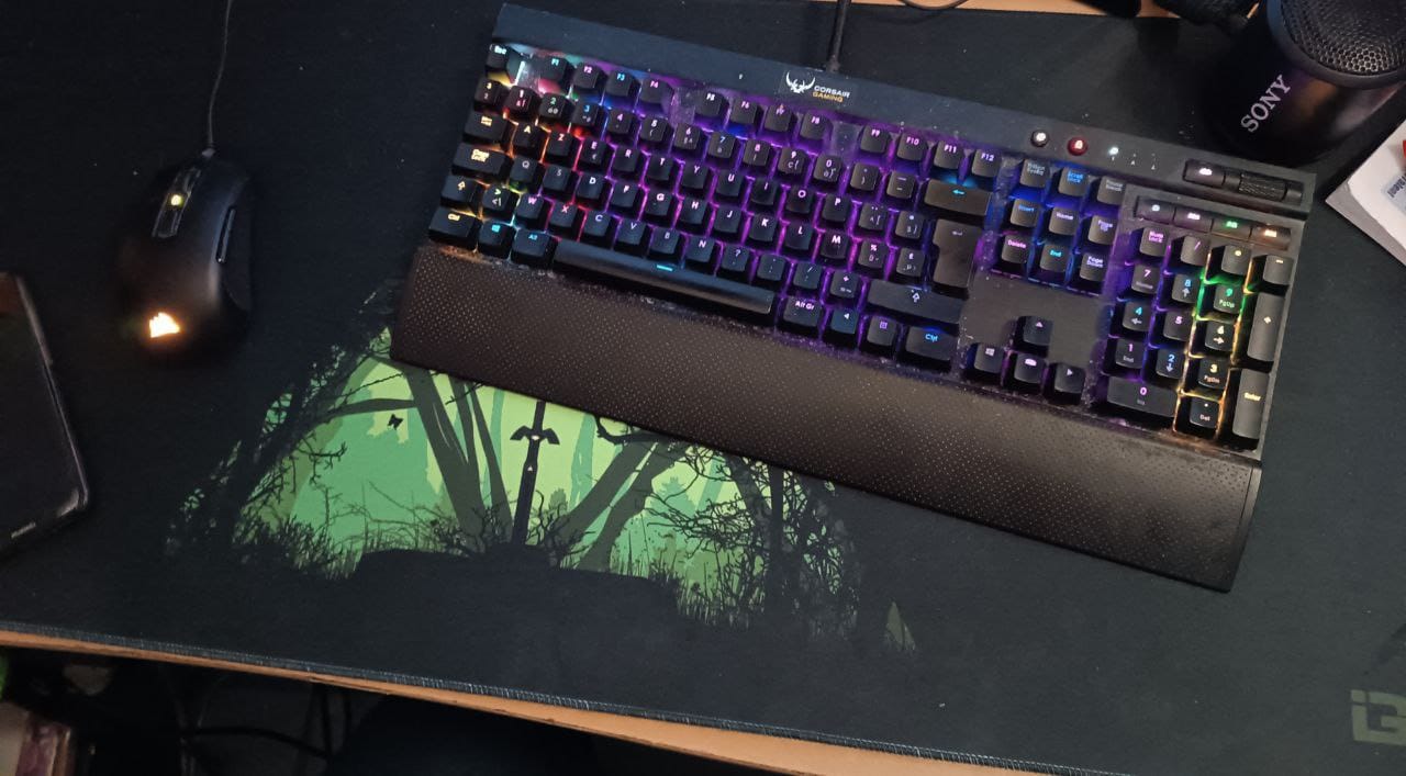 Customer photo review of Sword In The Forest
