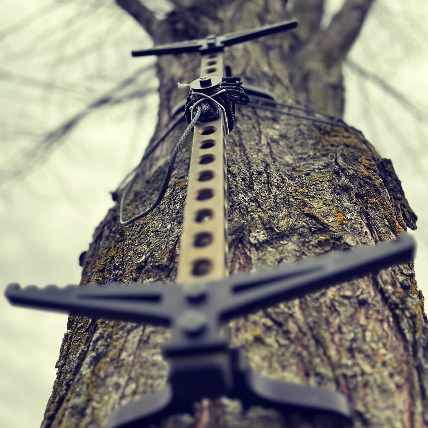 Customer photo review of 20" BEAST GEAR CLIMBING STICK