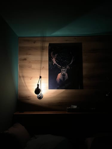 Customer photo review of Poster zauberhafter Hirsch Hochformat