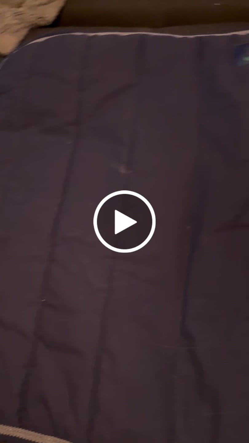 Customer video review of Sattelpad DESIGN YOUR OWN mit Carlitos Logo