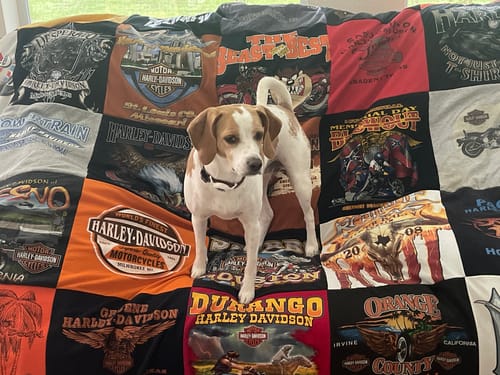 T-shirt quilt with motorcycle riding, harley-davidson culture themes by Ellen from TX