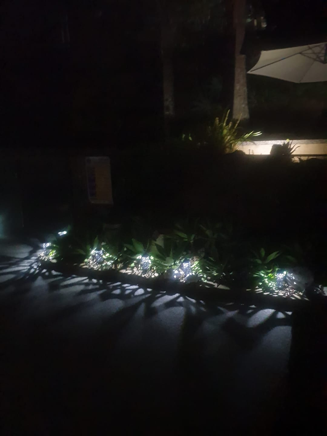 Customer photo review of SolaGarden™ Pattern Light Pack