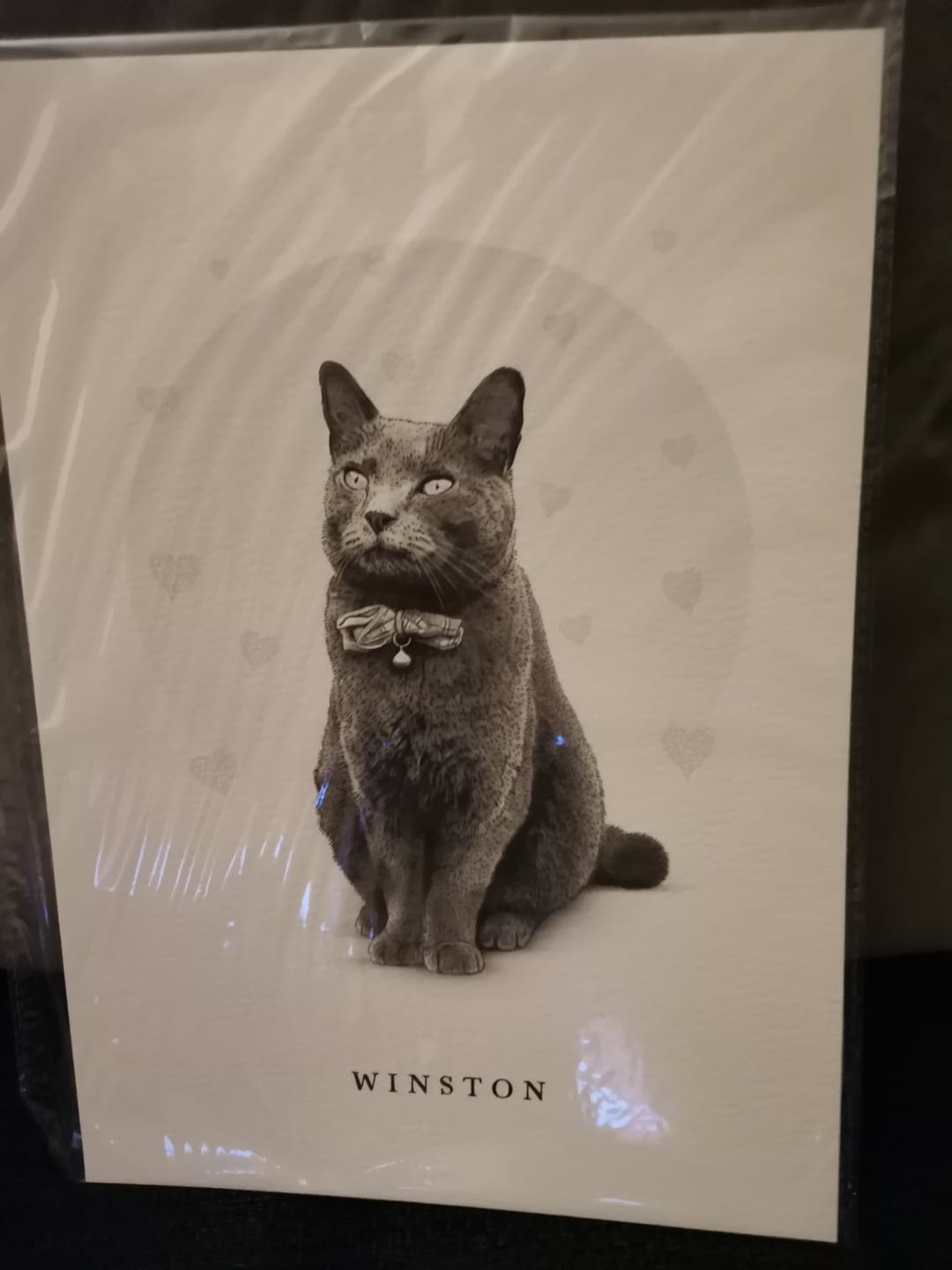 Customer photo review of Custom Pet Portrait From Your Photos – Black & White