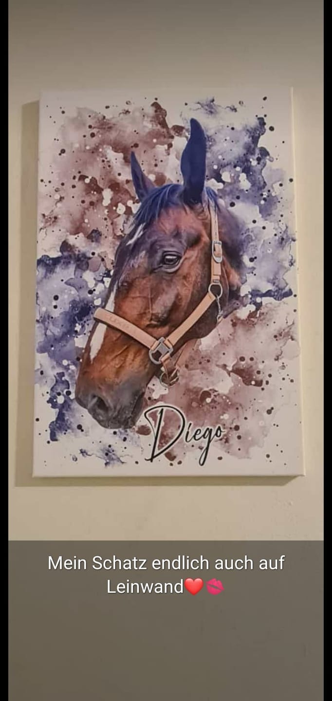 Customer photo review of Dein Pferd als Wasserfarben Portrait