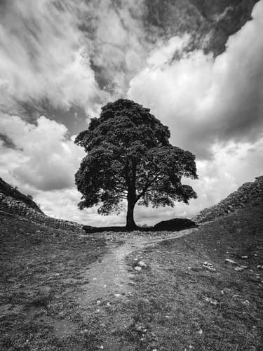 Customer photo review of Ultimate Preset Bundle