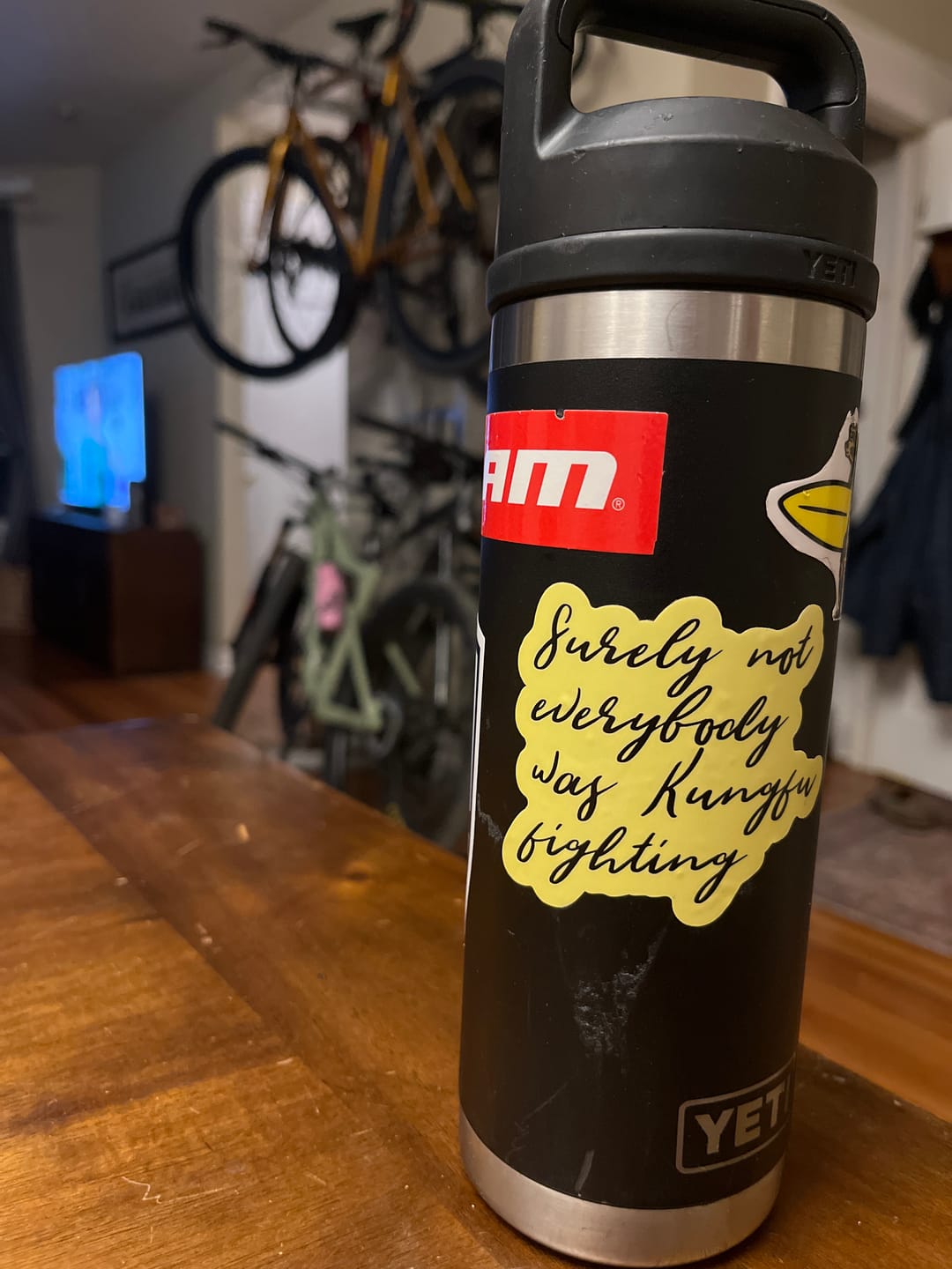 Customer photo review of "Surely Not Everybody Was Kung Fu Fighting" Sticker