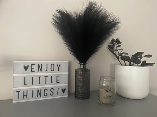 Fotorecensie van een klant over Faux Pampas 60cm (5stengels)- Zwart