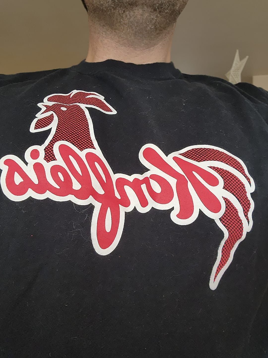 Customer photo review of Mystery T-shirt