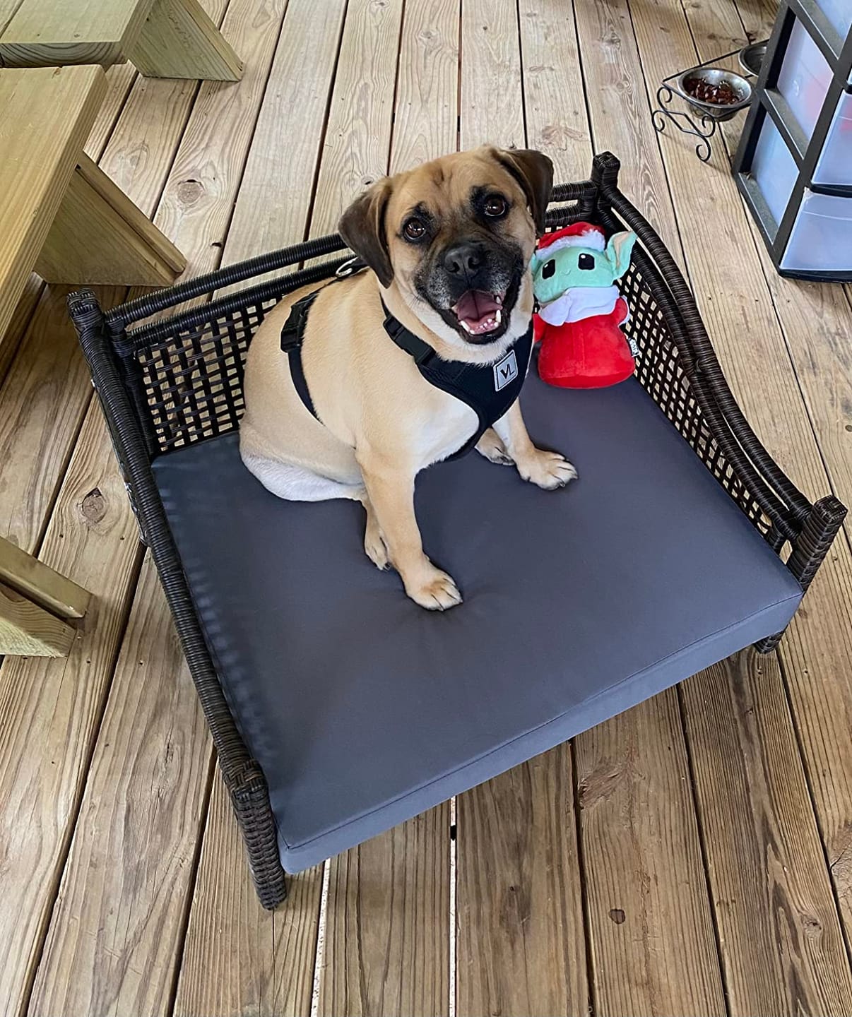 Customer photo review of Maharaja Rattan Pet Bed