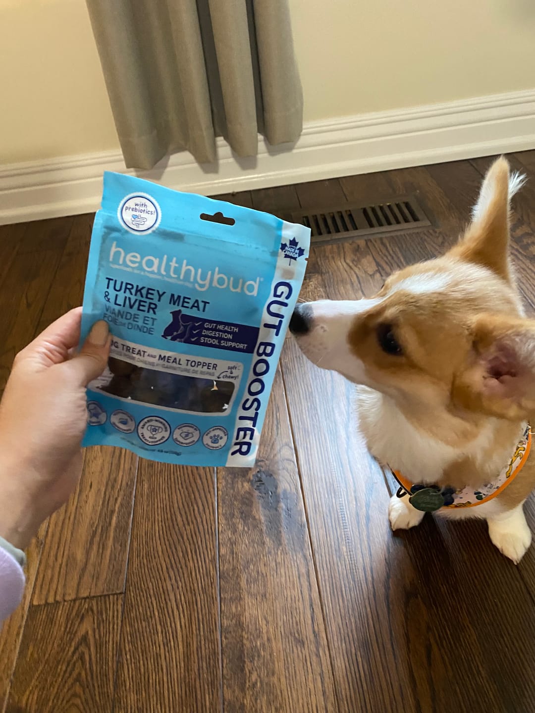 Customer photo review of Turkey Gut Booster