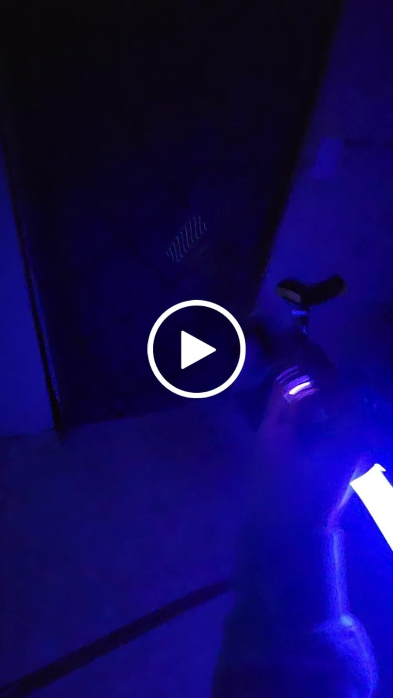 Customer video review of Star | Saber