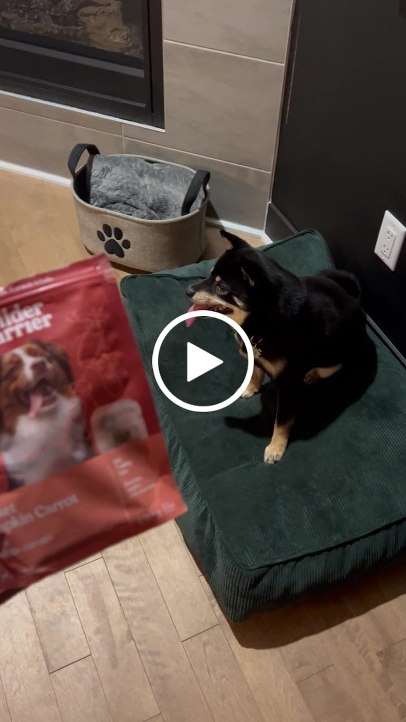 Customer video review of Discovery pack