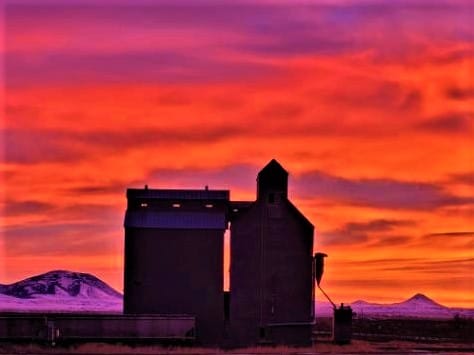 Customer photo review of Iris & White Chocolate