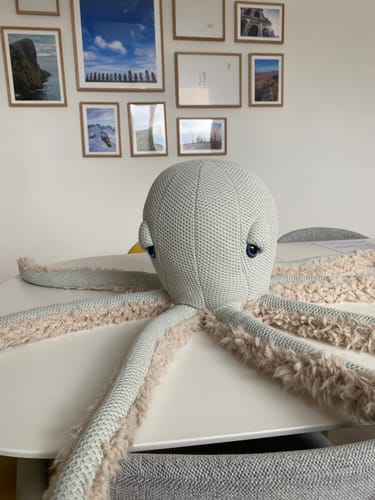 Customer photo review of The Octopus