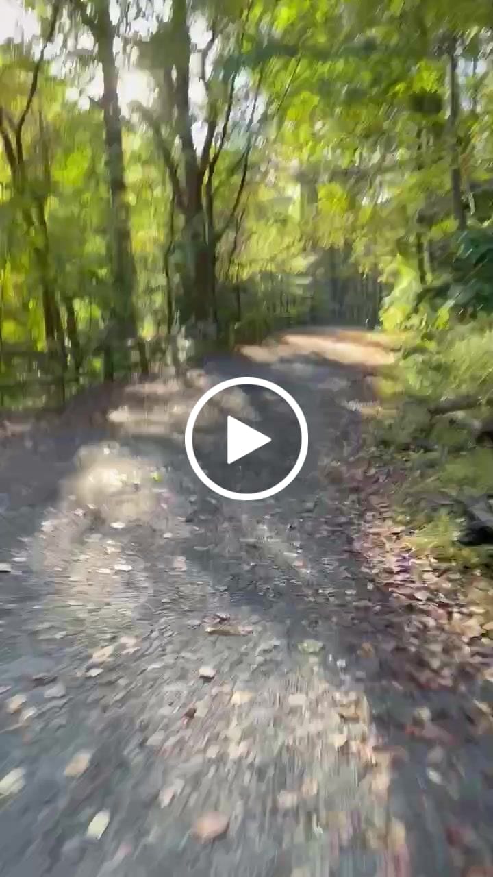 Customer video review of TENWAYS CGO600 Pro