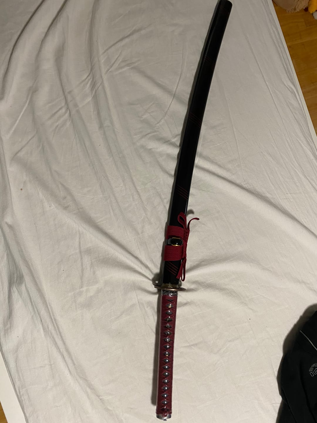 Customer photo review of Hand Forged 1060 High Carbon Steel Blade Iaito Samurai Blood Dragon Katana Sword