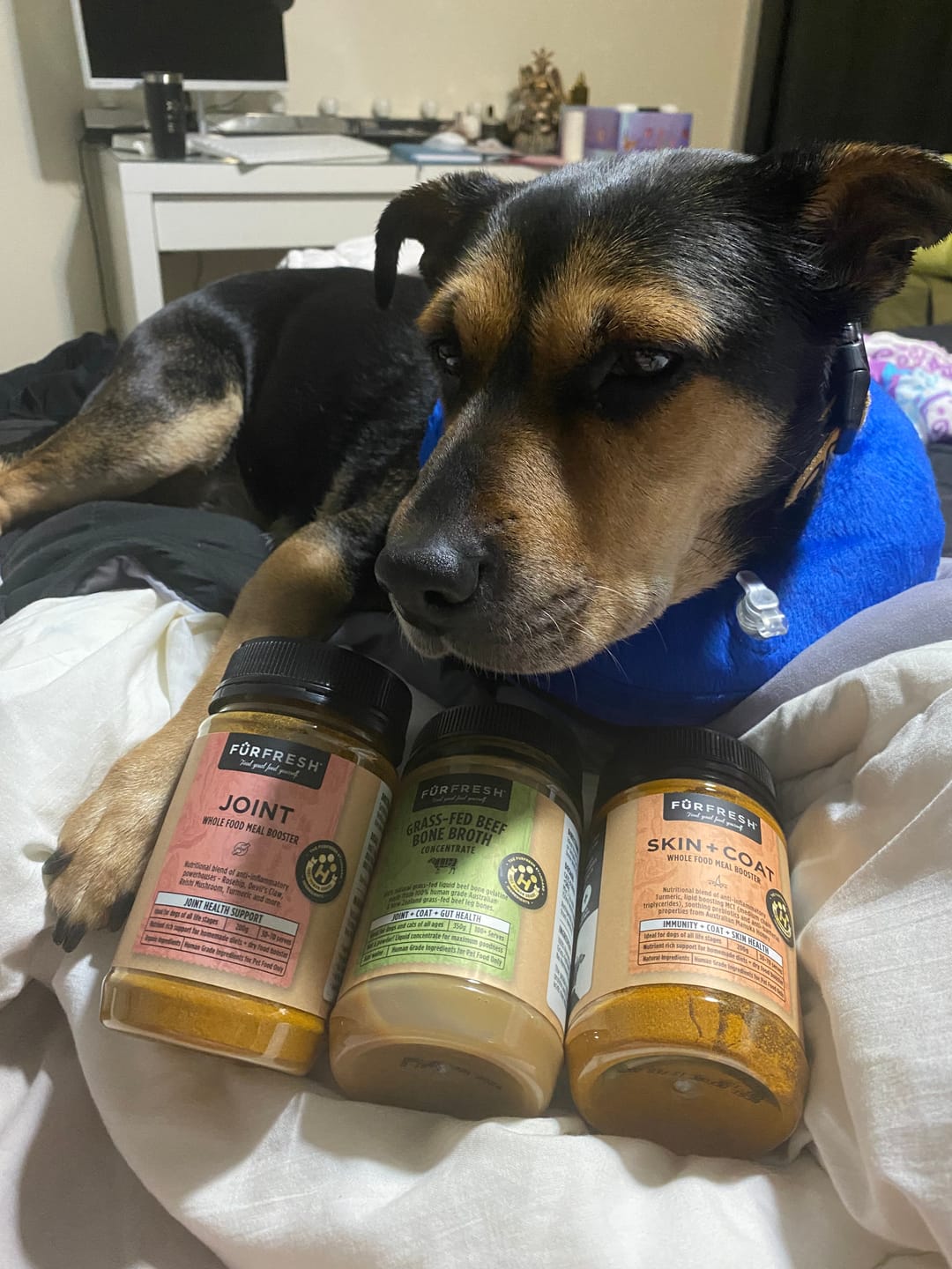 Customer photo review of Grass-Fed Beef Bone Broth Concentrate