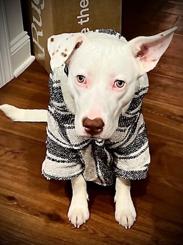 Customer photo review of Playa Poncho - Surprise Color