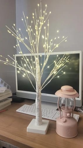 Customer photo review of Bäumlein® - 144 LEDs (Winter Edition)