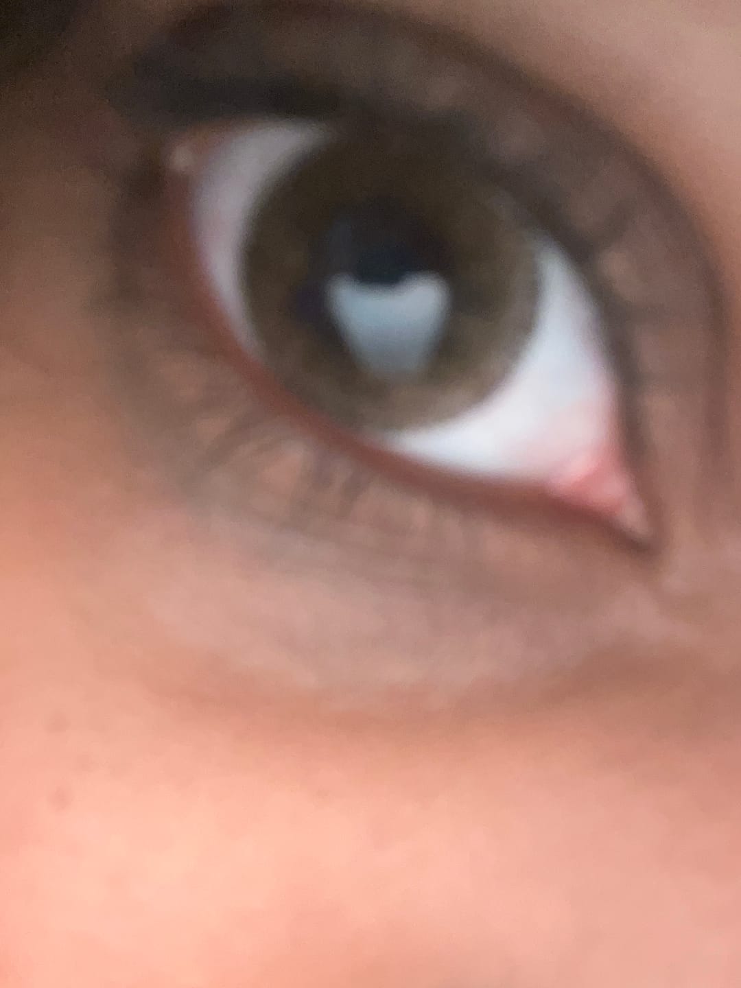 Customer photo review of Natural Avela Brown Colored Contact Lenses