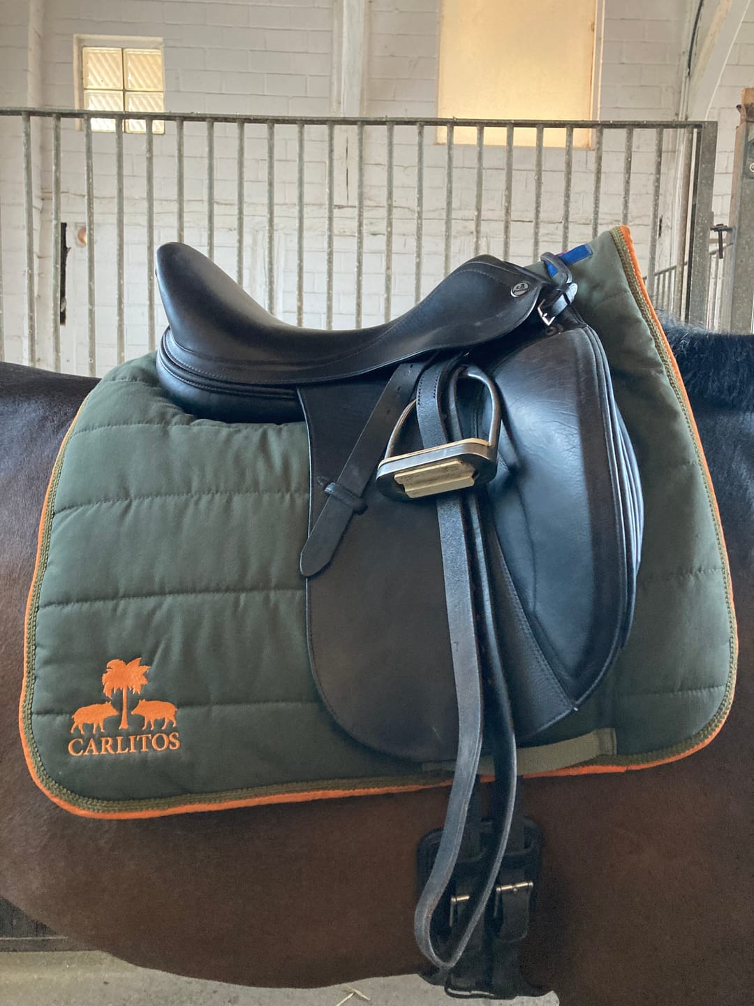 Customer photo review of Sattelpad DESIGN YOUR OWN mit Carlitos Logo