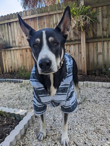 Customer photo review of Playa Poncho - Surprise Color