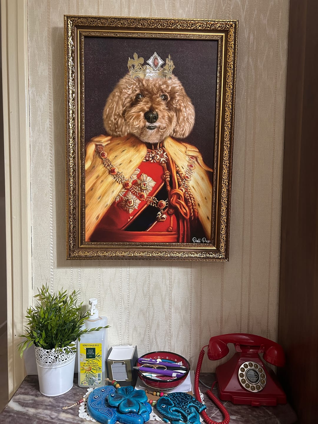 Customer photo review of The King of the Seven Kingdoms