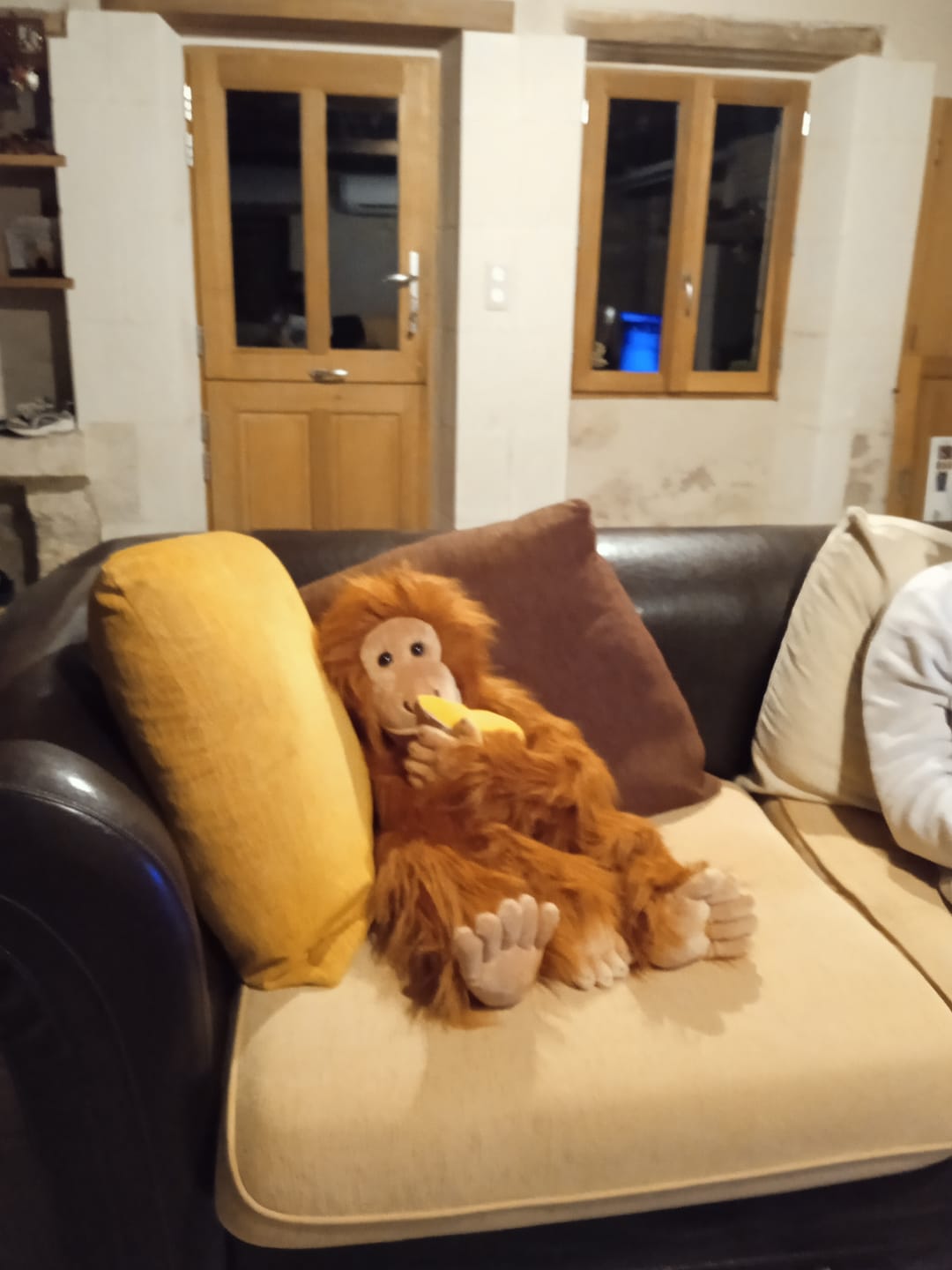 Customer photo review of Orang-outan Marionnette
