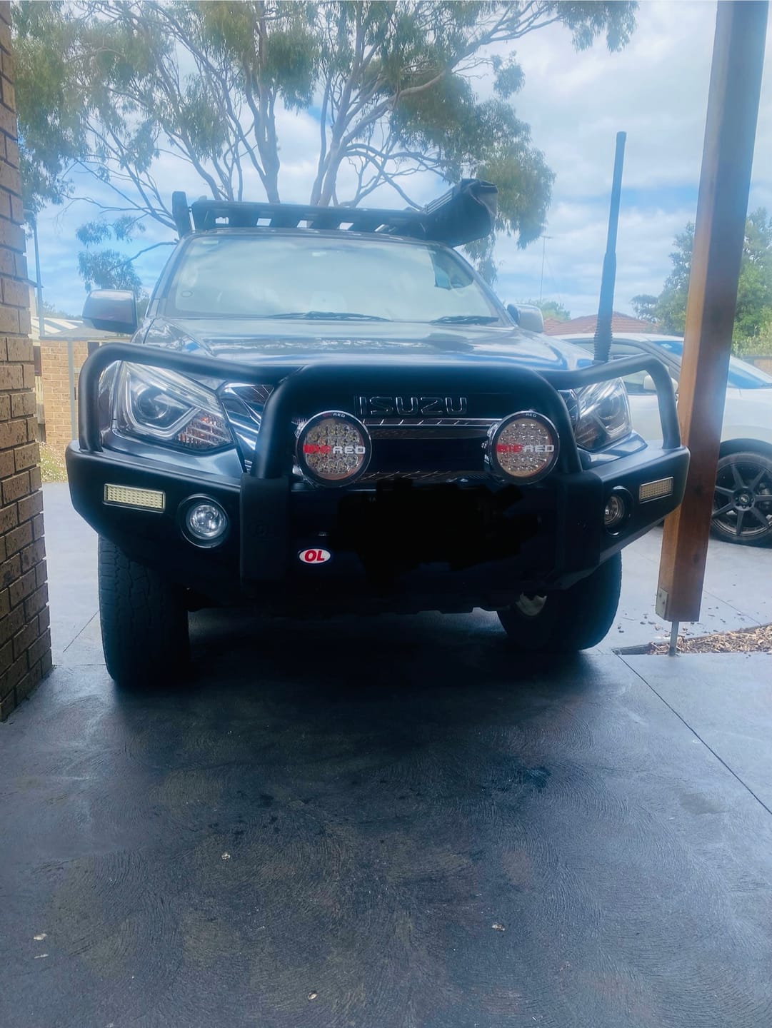 Customer photo review of 7" Inch BRG Starter Kit