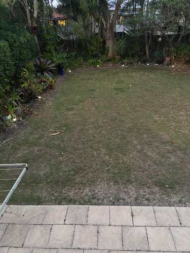 Customer photo review of GardenBrite™ Ground Light Pack