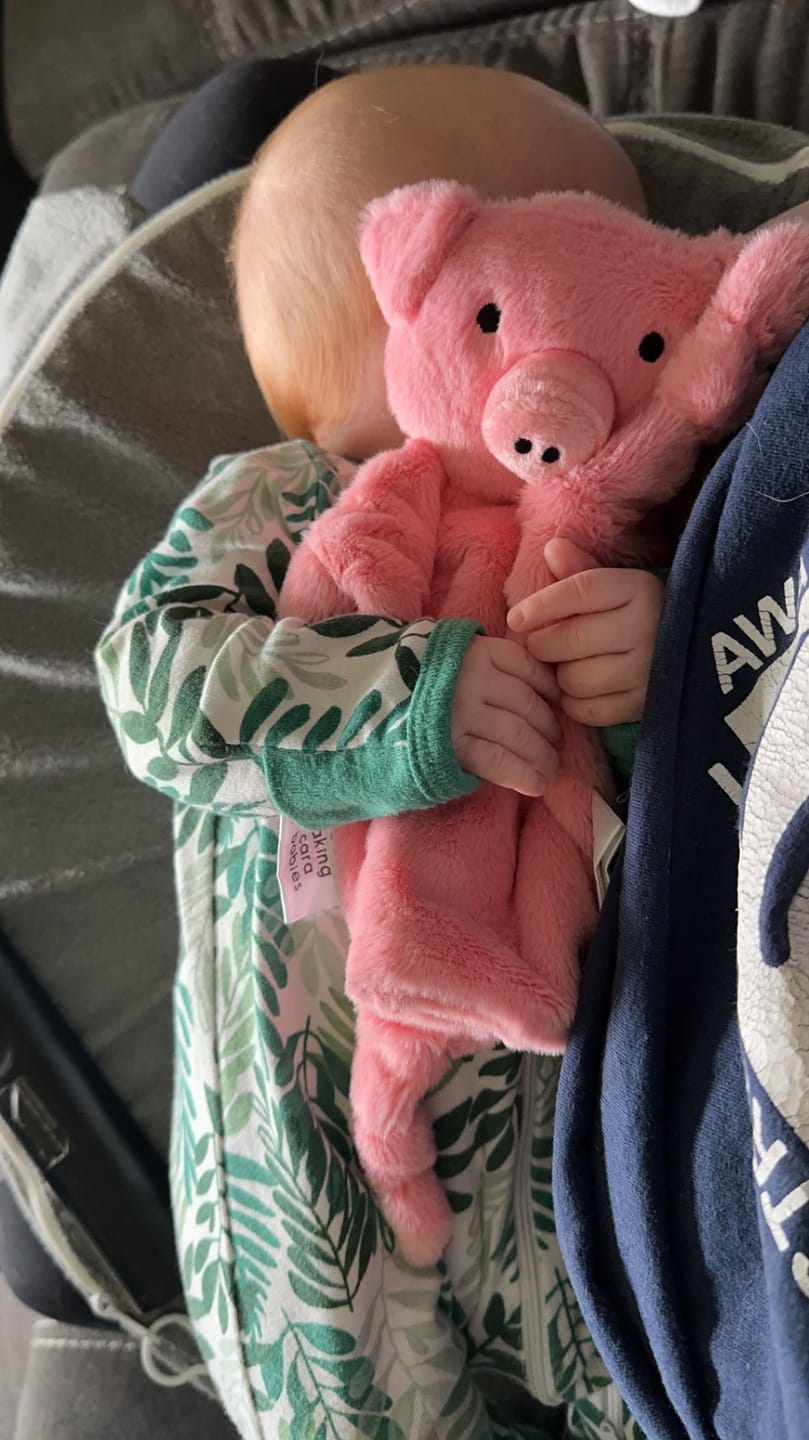 Customer photo review of Bella Tunno x Taking Cara Babies Lovey Pig