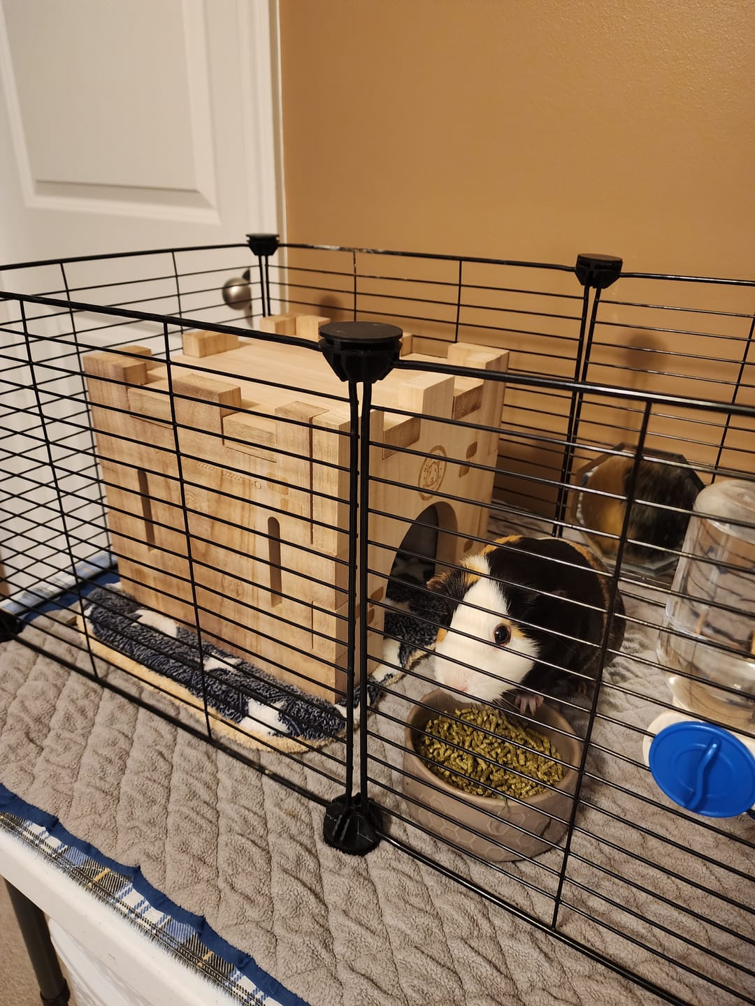 Customer photo review of GuineaDad Wooden Castle